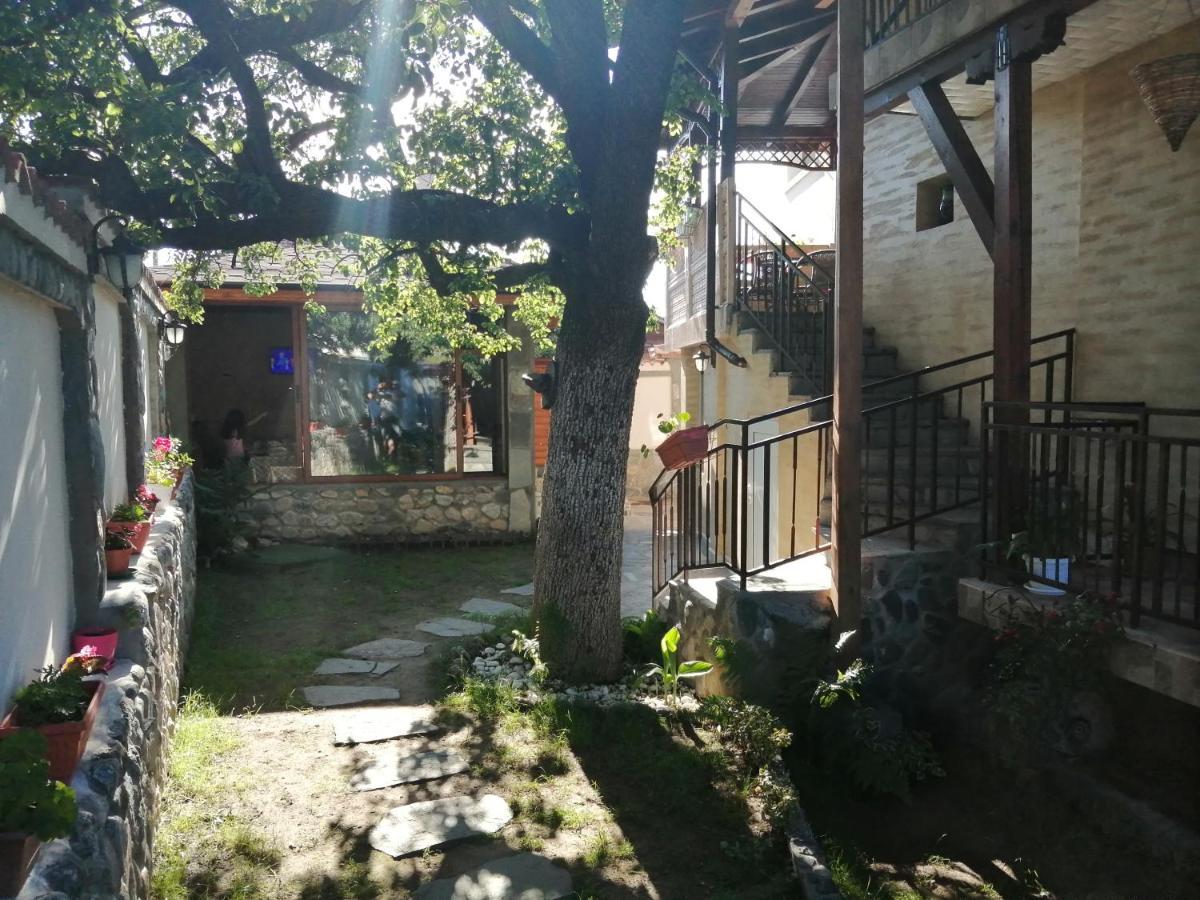 Dariya Guest House 萨帕雷瓦巴尼亚 外观 照片